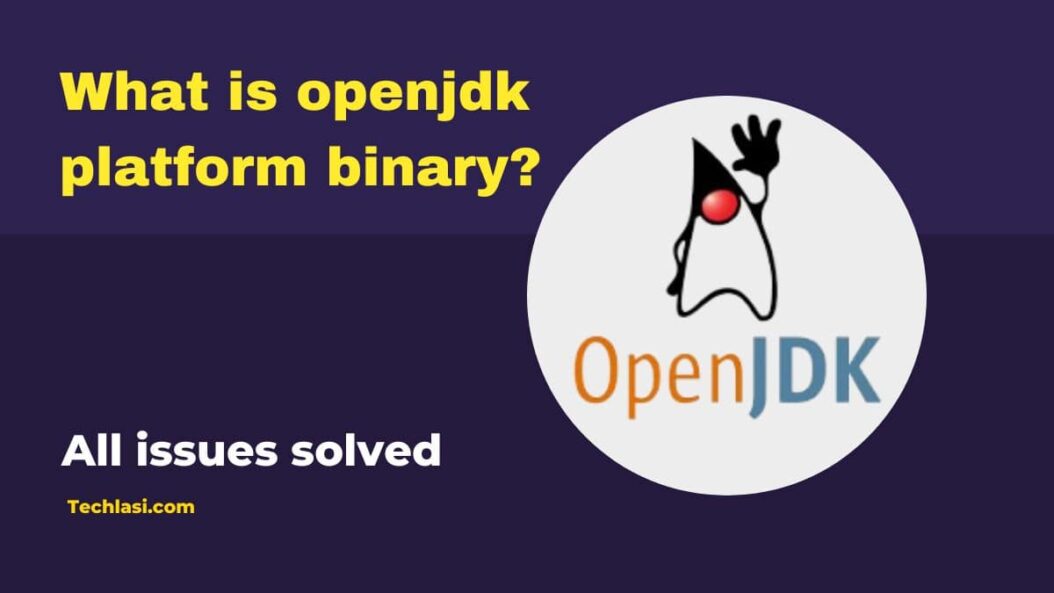 What is openjdk platform binary?