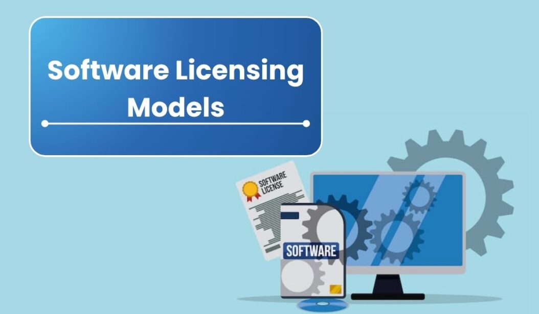 Software Licensing Models